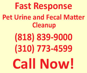Pet Urine and Fecal Matter Cleanup Los Angeles