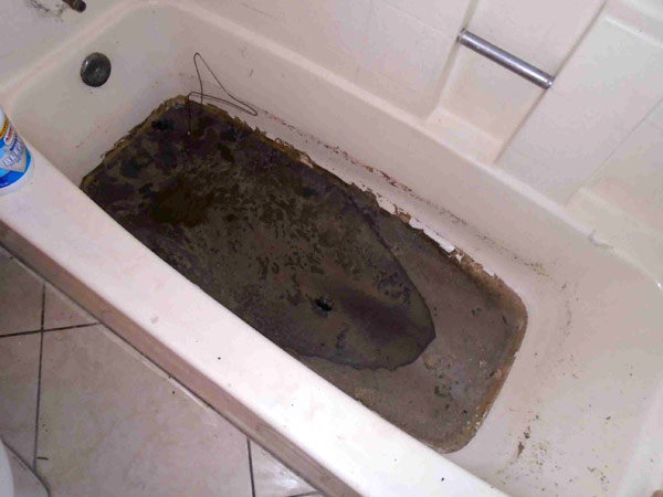 Why is There Sewage Coming Up Through the Bathtub