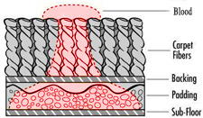 Carpet Blood Cleanup