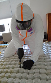 Biohazard Cleaning Services