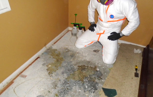 Biohazard Cleaning Services