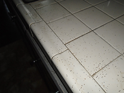 Tile Counter - Flies - Cross Contamination