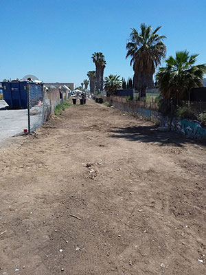 Homeless Camp Cleaned Out