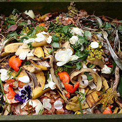 pile of rotting food from a hoard