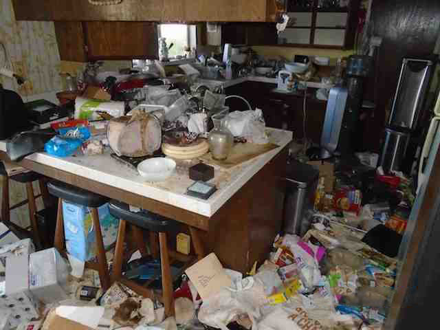 before picture of a hoarded kitchen with trash and dirty dishes all over the counter and floor