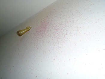 tear gas canister stuck in drywall with purple residue sprayed on drywall