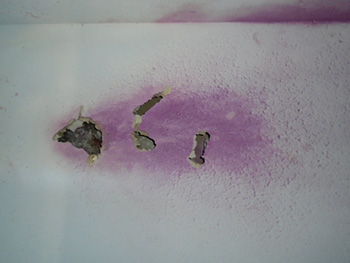 several holes in drywall with purple tear gas residue on the wall.