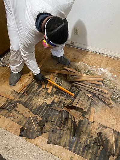 removing wood floor that has body fluids on it