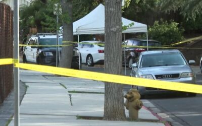 Responding with Care and Discretion to a Tragic Crime Scene in Woodland Hills