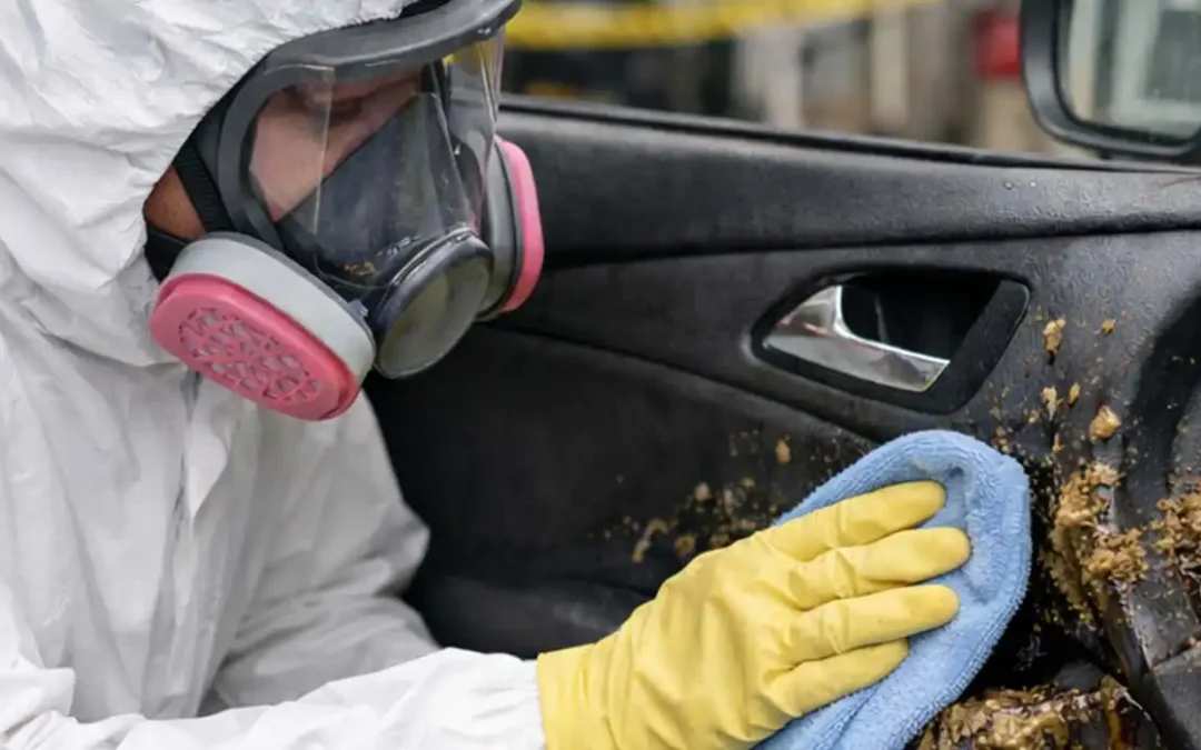 biohazard technician cleaning vomit off a car door panel